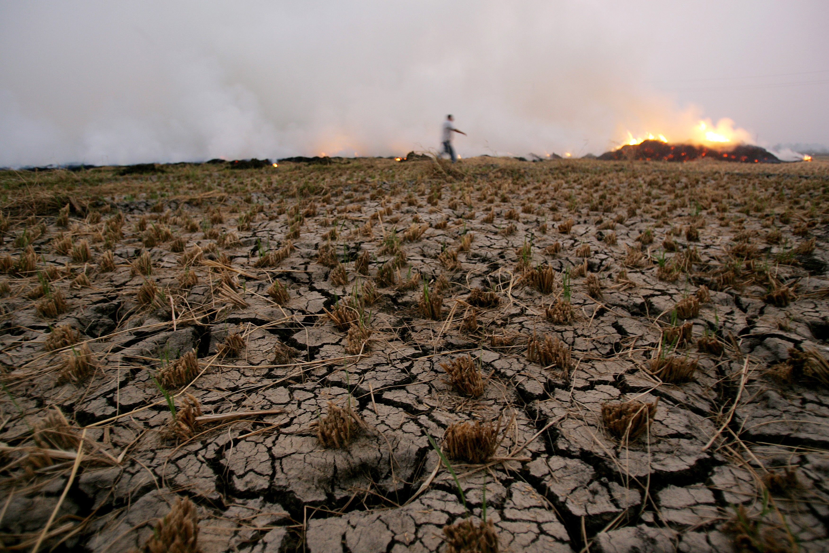 Key environmental challenges facing the Middle East Middle East Institute